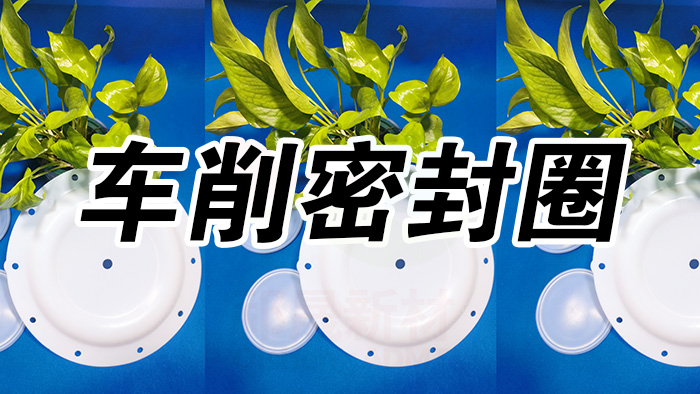 4车削密封圈密封件油封产品大全 副本威廉官网中国官方网站